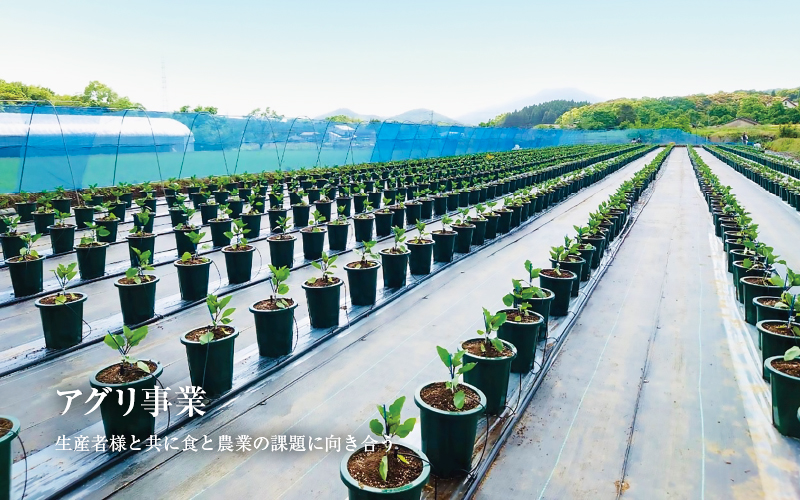株式会社syouwavegecul アグリ事業